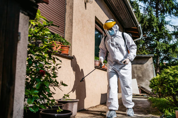 Best Pest Control Near Me in Farmington, MN