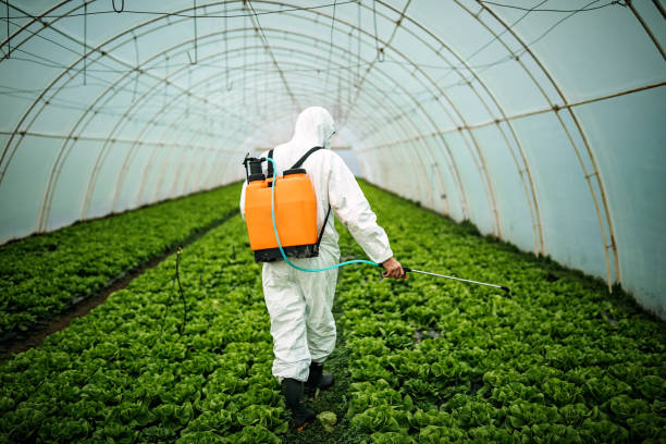 Best Pest Control Treatment  in Farmington, MN
