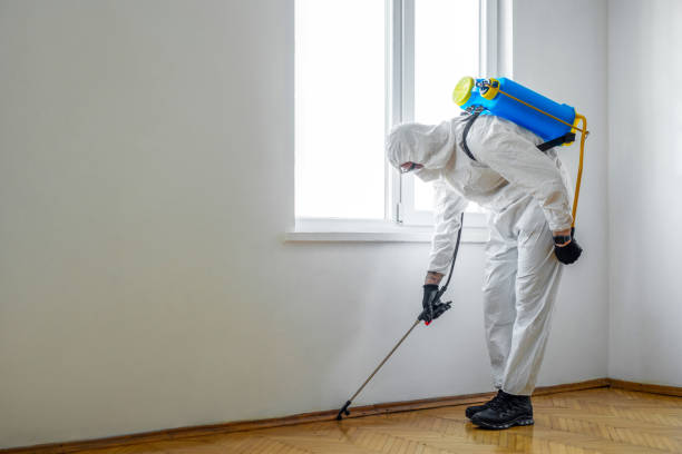 Best Rat Extermination Near Me  in Farmington, MN