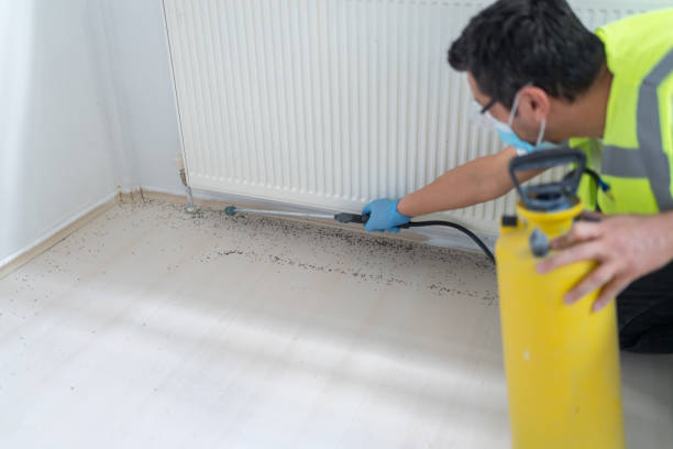 Best Local Pest Control Services  in Farmington, MN