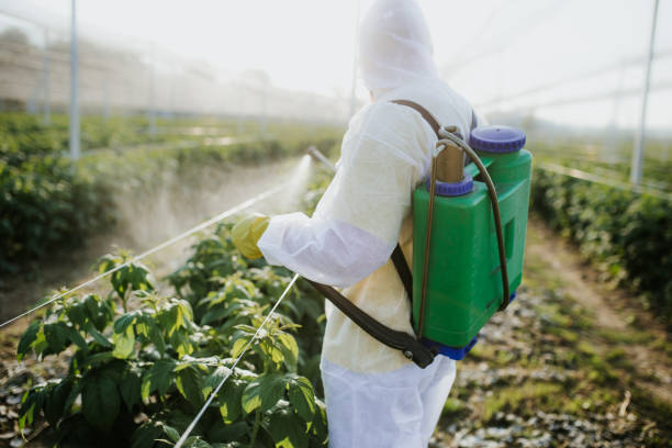  Farmington, MN Pest Control Pros